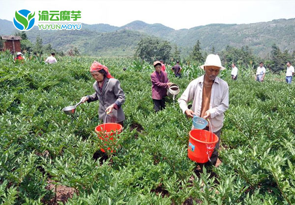 高海拔山区基地